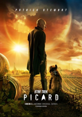 Звёздный путь: Пикар (сериал 2020 )смотреть онлайн бесплатно на ок фильм